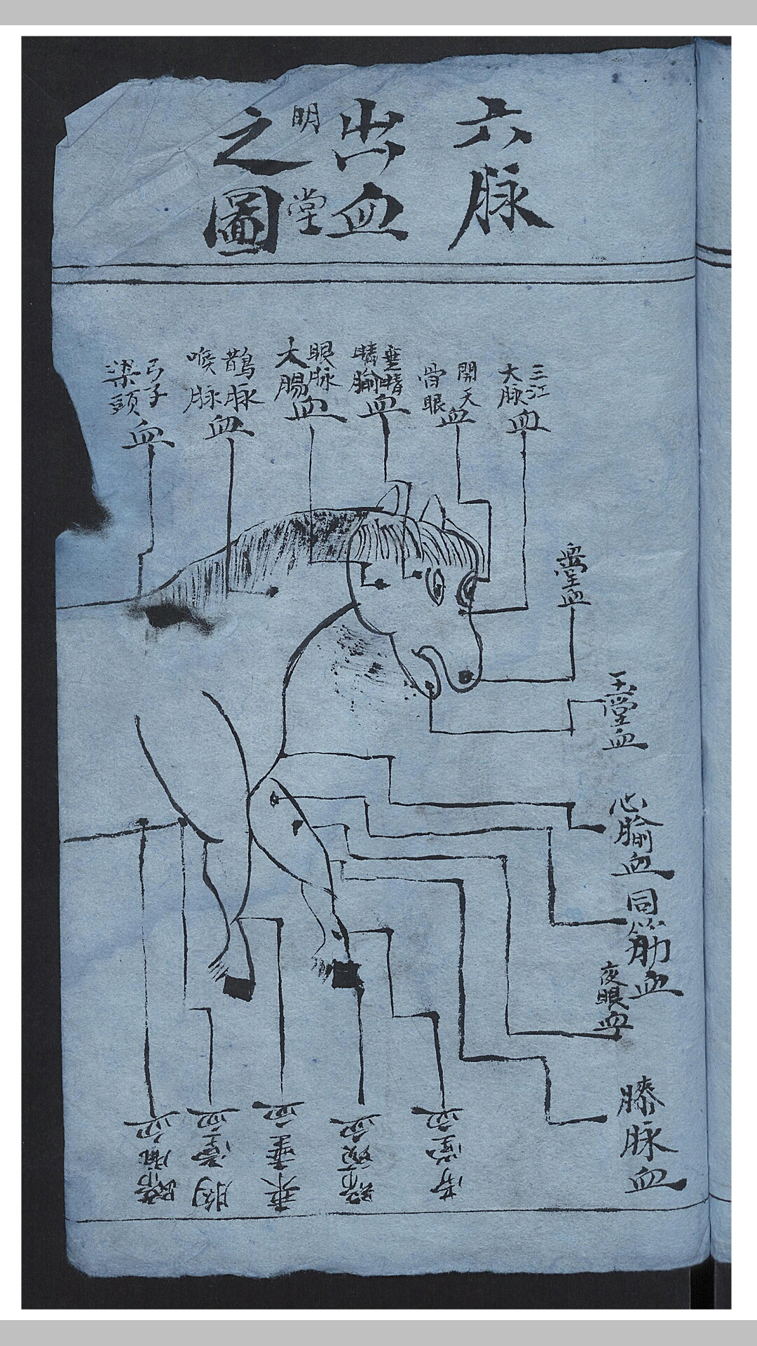 经