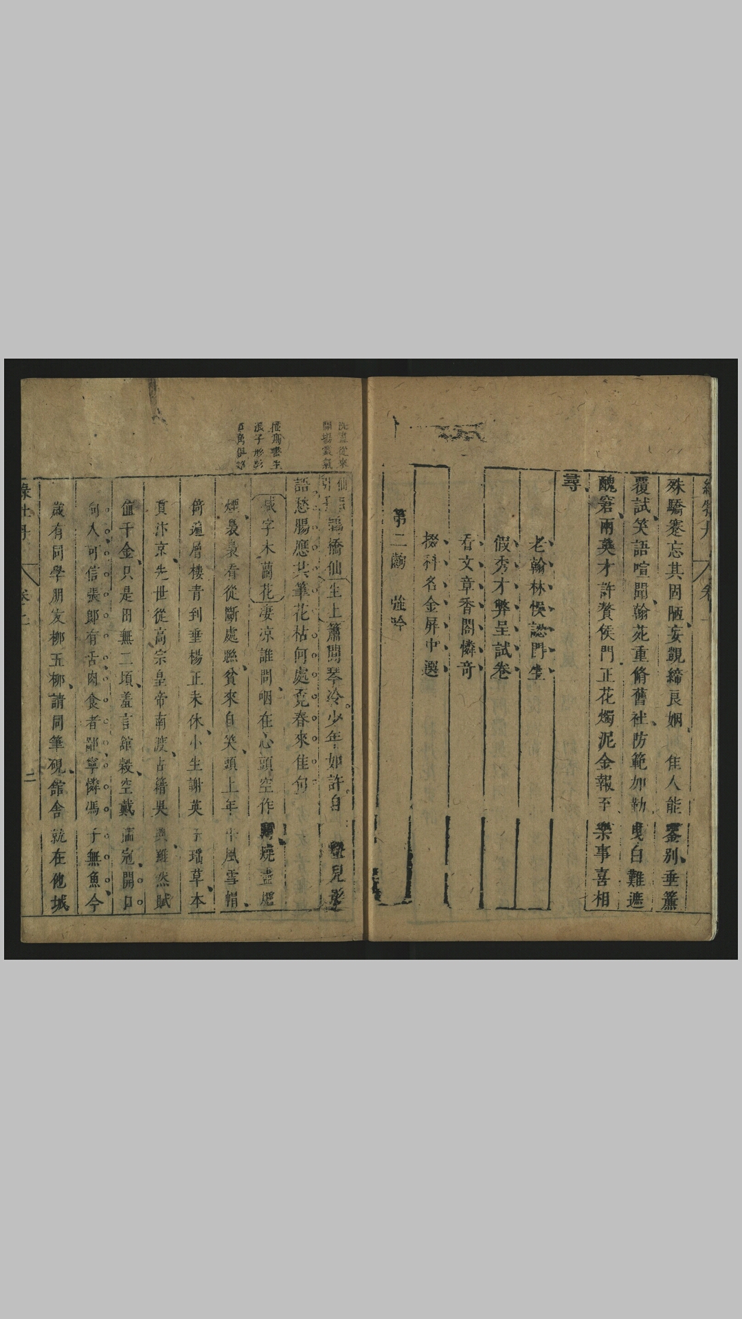 牡丹