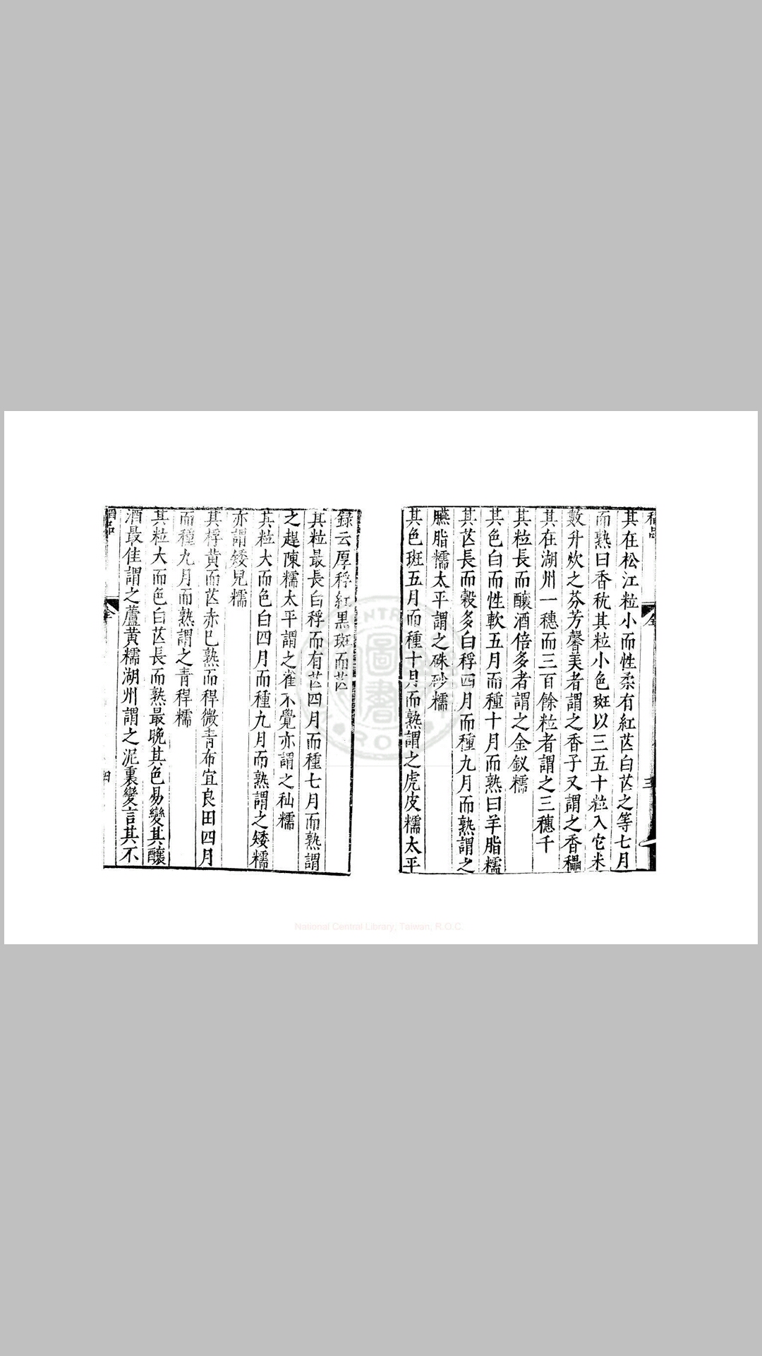 稻