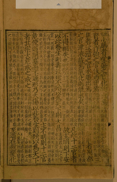 内