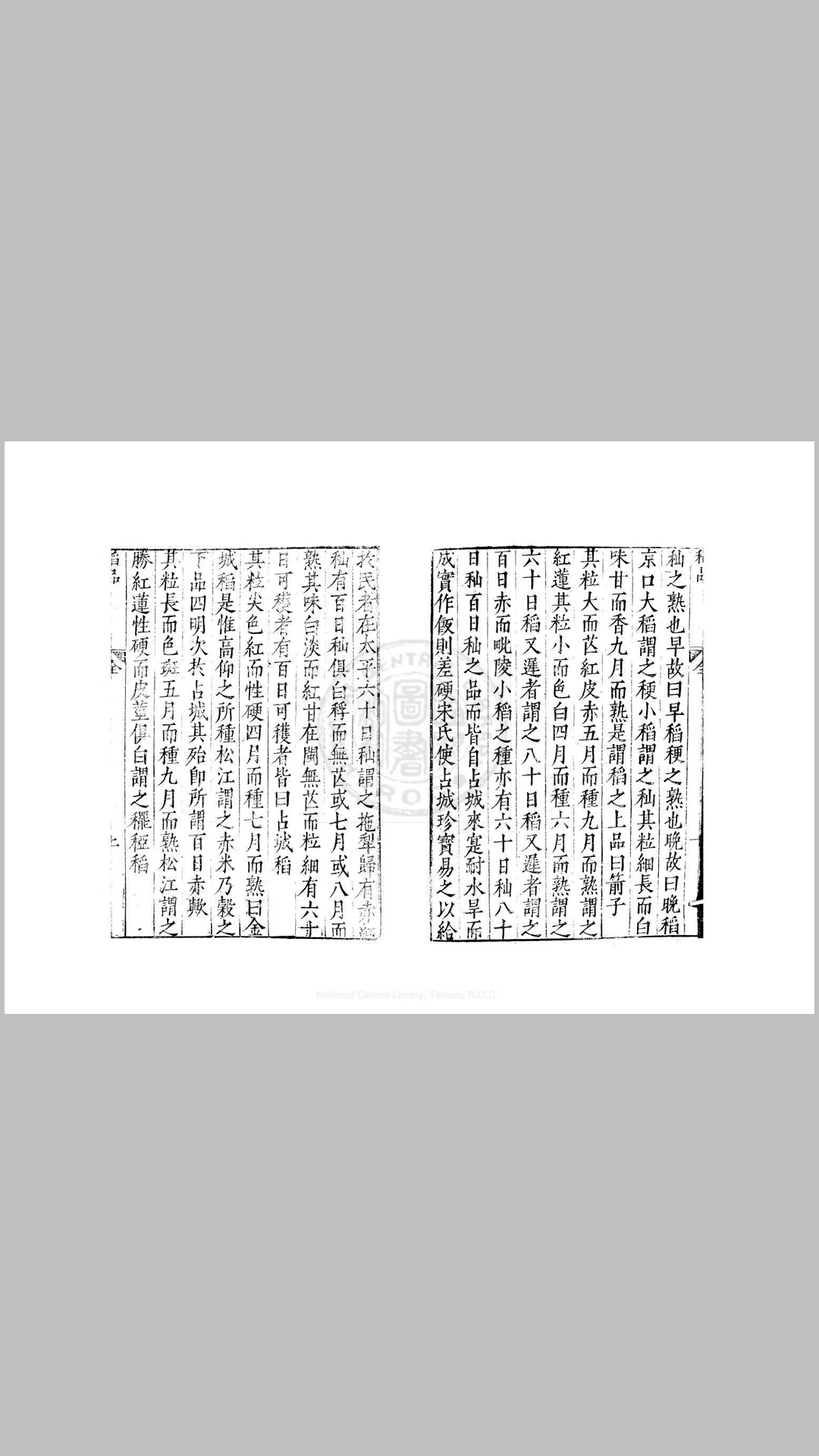 稻