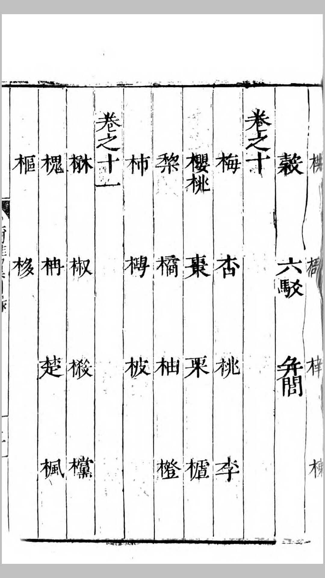 尔雅