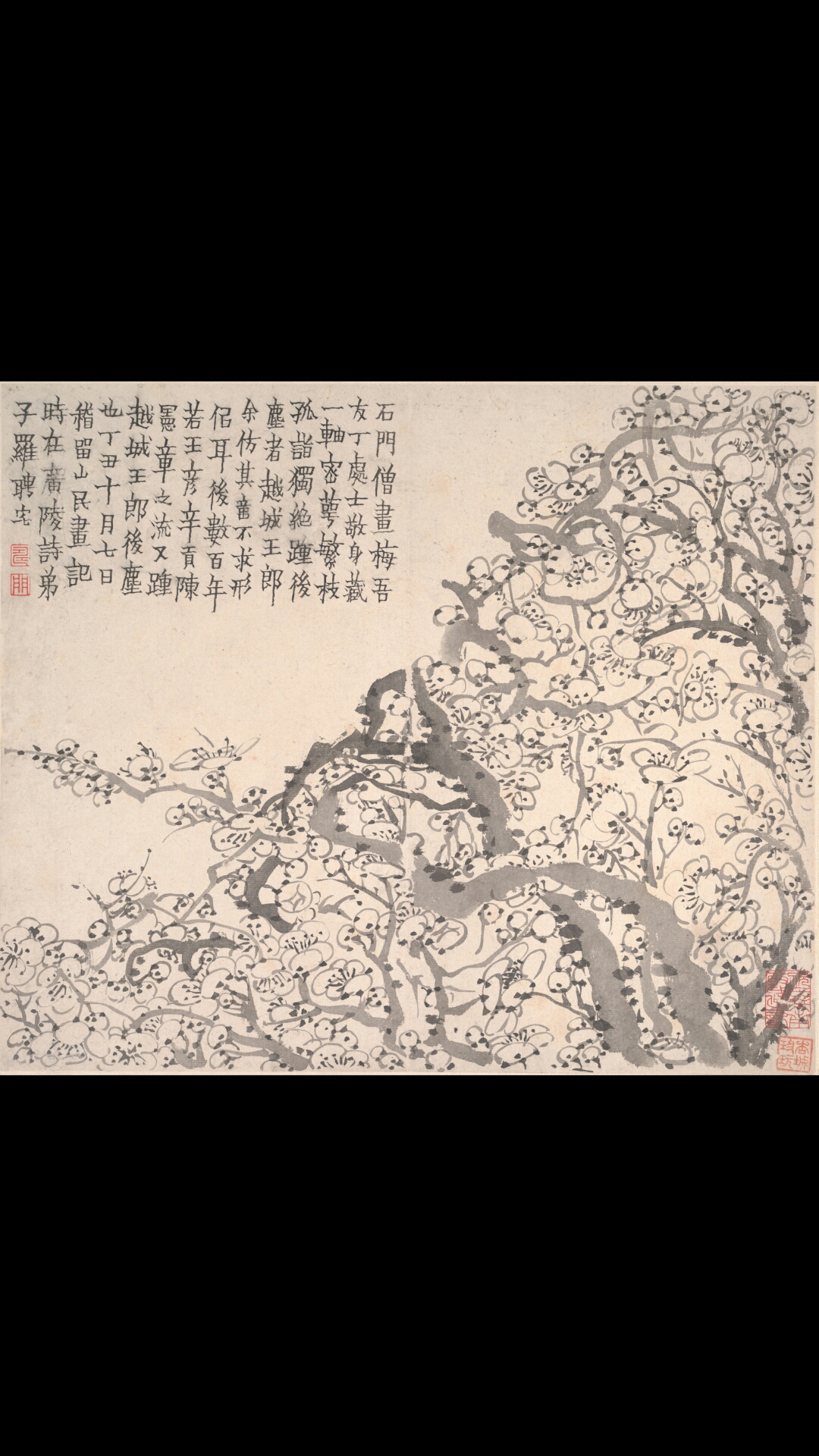 清 金农 梅花图册页